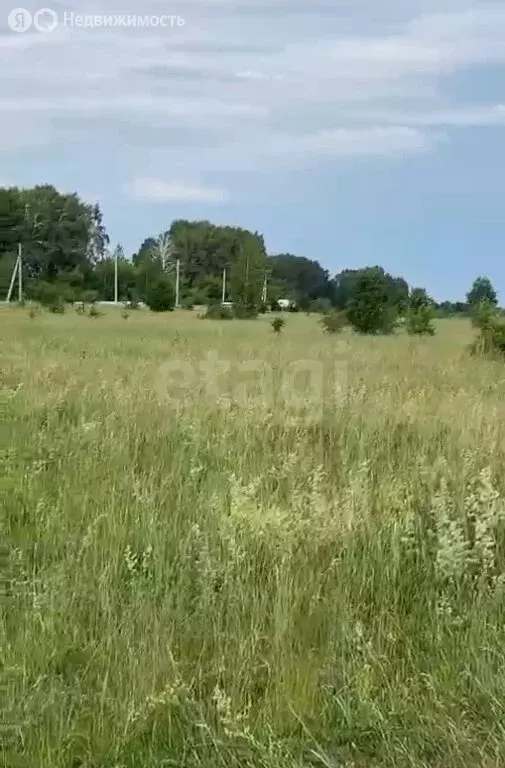 Участок в Мензелинск, Прибрежная улица (10 м) - Фото 1