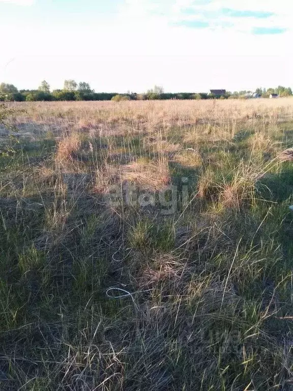 Участок в Воронежская область, с. Новая Усмань ул. Дачная (9.0 сот.) - Фото 1