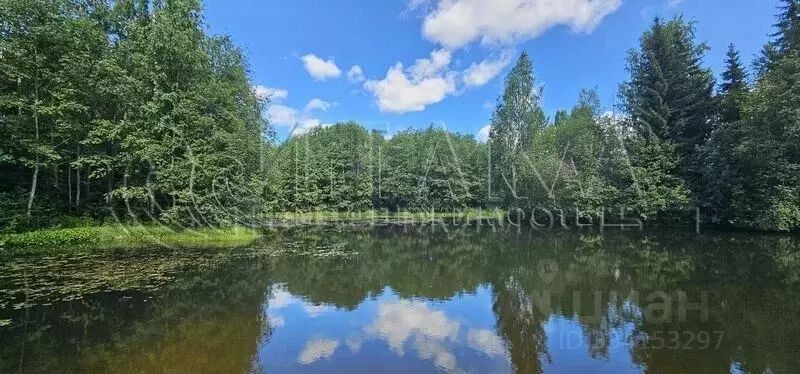 Участок в Ленинградская область, Подпорожский район, Важинское ... - Фото 2