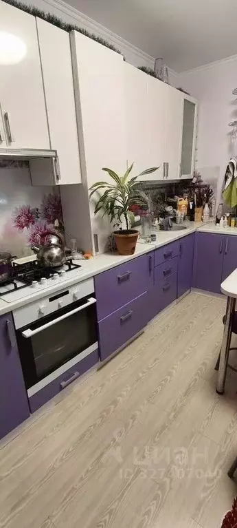 1-к кв. Калужская область, Боровский муниципальный округ, д. Кабицыно ... - Фото 1