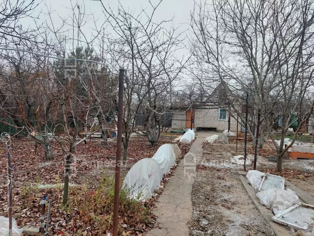 Дом в Волгоградская область, Волгоград ул. Джамбула Джабаева (36 м) - Фото 0