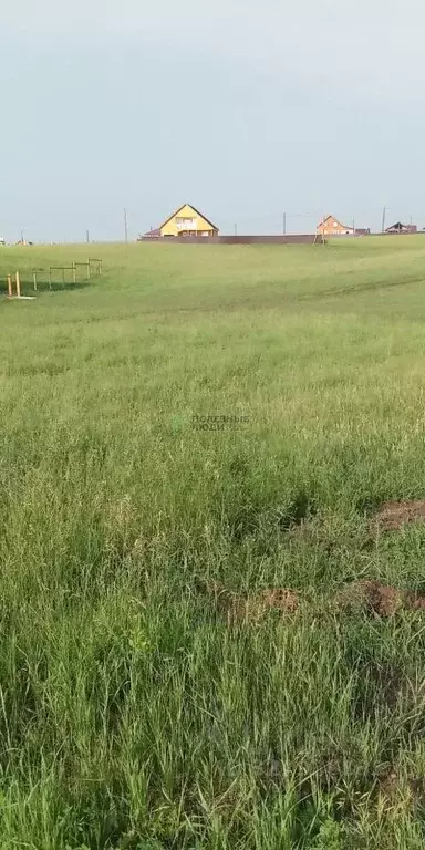 Участок в Иркутская область, Иркутский муниципальный округ, с. Урик ... - Фото 1