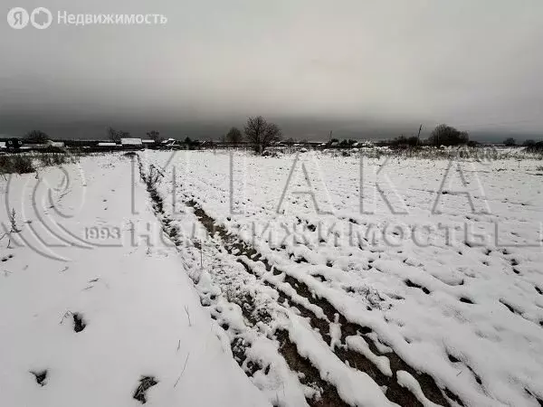 Участок в Рабитицкое сельское поселение, деревня Лиможа (18 м) - Фото 2