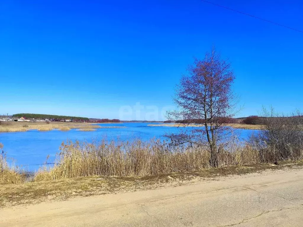 Участок в Нижегородская область, Богородский муниципальный округ, д. ... - Фото 1