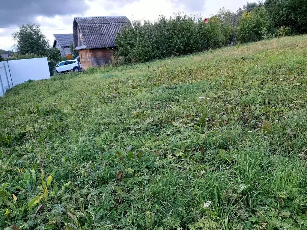Участок в Санкт-Петербург, Санкт-Петербург, Ломоносов Отрада СНТ, 56 ... - Фото 2