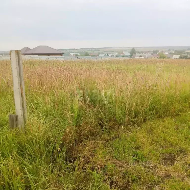 Участок в Мордовия, Лямбирский район, с. Аксеново  (15.0 сот.) - Фото 1