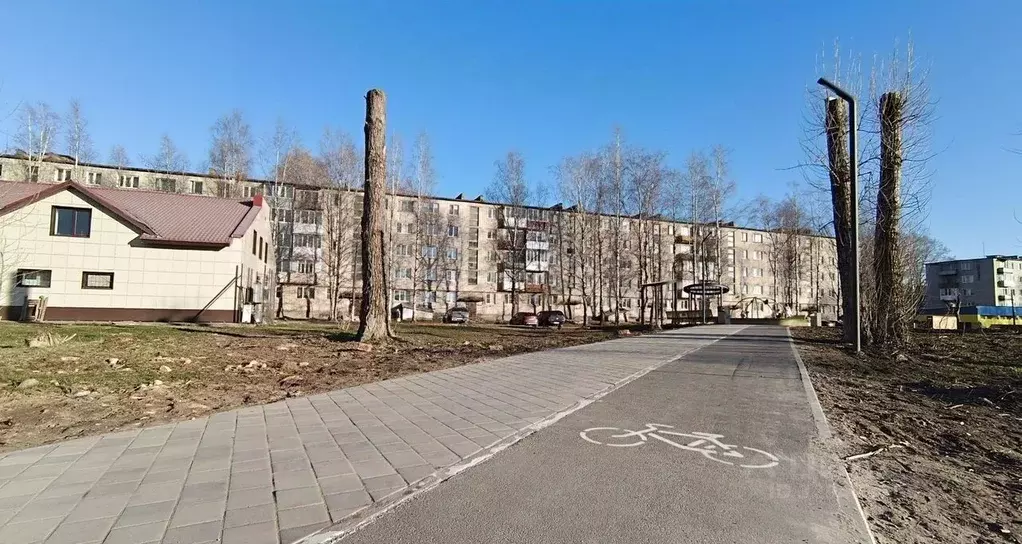3-к кв. Ленинградская область, Пикалево г. Бокситогорский район, ... - Фото 1