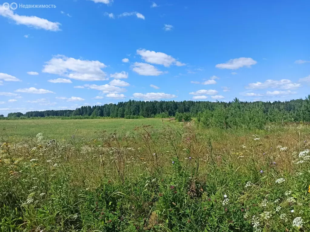 Участок в Ленинское сельское поселение, деревня Сунцовы (500 м) - Фото 2