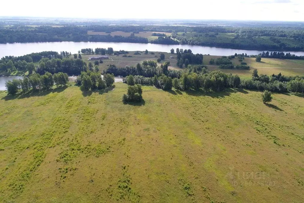 Участок в Тверская область, Зубцовский муниципальный округ, д. Борщево ... - Фото 2