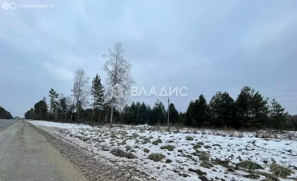 Участок в Судогодский район, муниципальное образование Головинское, ... - Фото 0