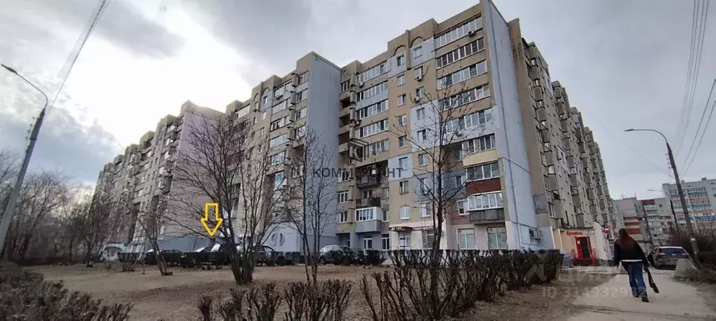 Торговая площадь в Нижегородская область, Нижний Новгород ул. ... - Фото 1