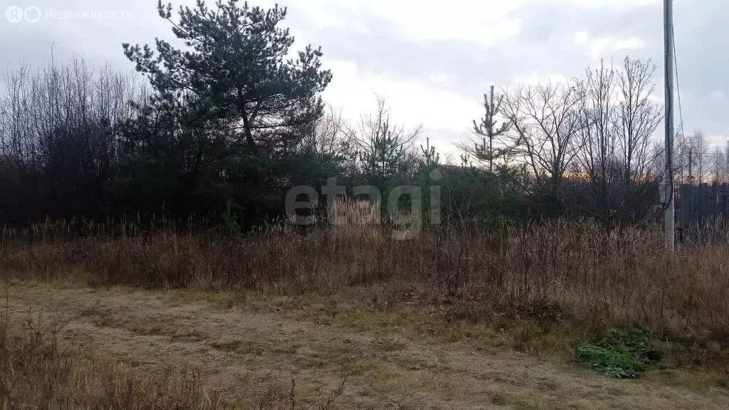 Участок в Ярославль, СНТ № 6 Резинотехника (6.2 м) - Фото 2