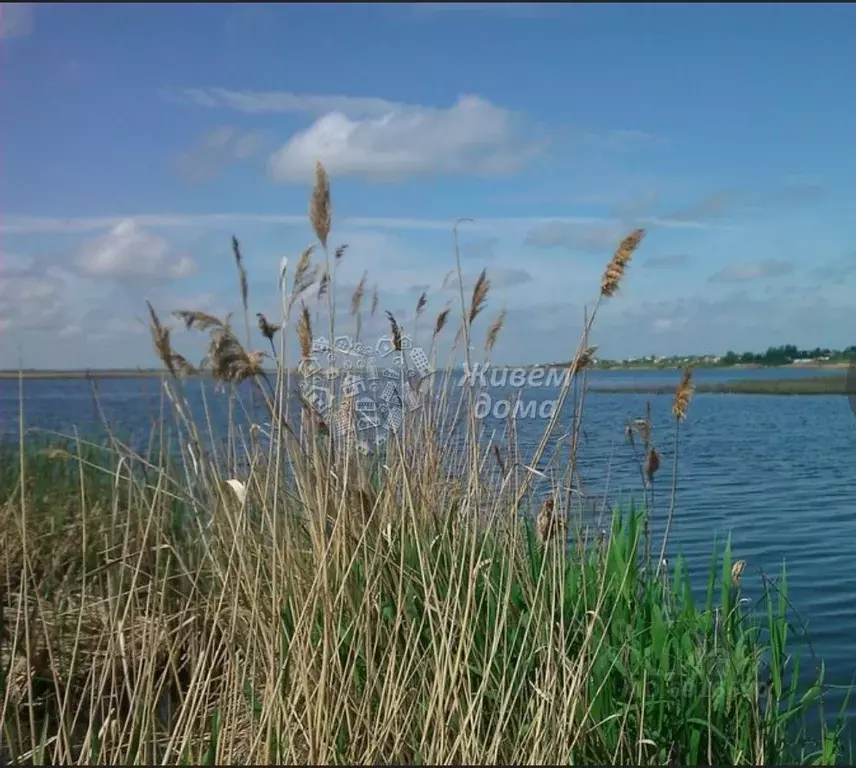 Участок в Волгоградская область, Волгоград Поселок Водный тер., ул. ... - Фото 1