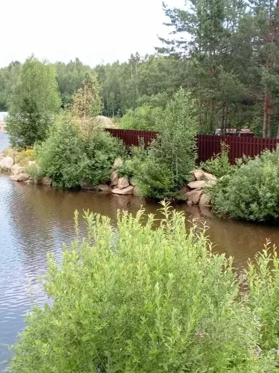 Участок в Свердловская область, Екатеринбург просп. Ленина (10.0 сот.) - Фото 2