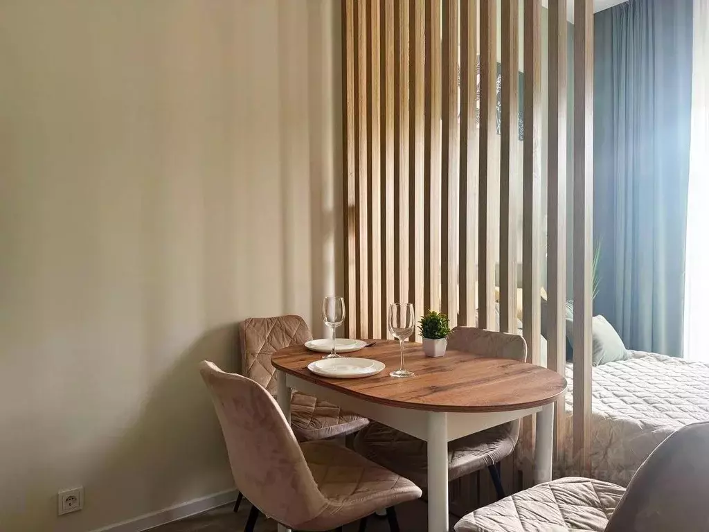 Студия Краснодарский край, Сочи ул. Искры, 88к8 (28.0 м) - Фото 1