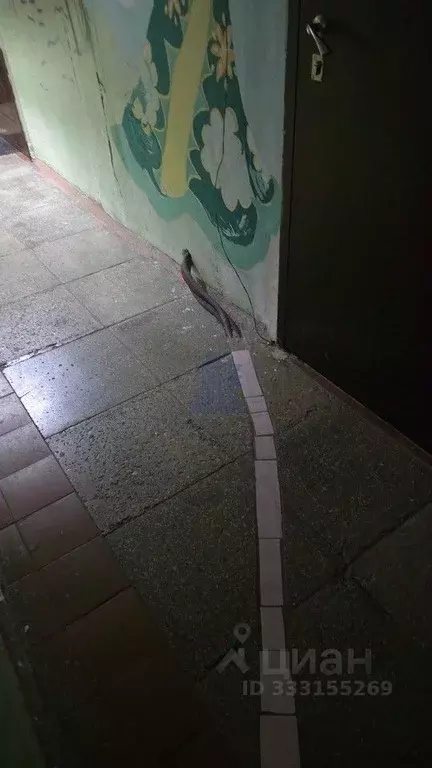 Комната Чувашия, Чебоксары Канашское ш., 1 (13.4 м) - Фото 2