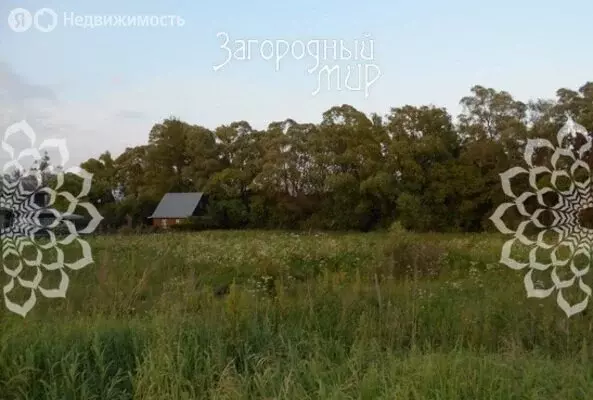 Участок в Орехово-Зуевский городской округ, деревня Старово, 15 (15 м) - Фото 1