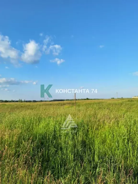 Участок в Челябинская область, Аргаяшский район, Кузнецкое с/пос, с. ... - Фото 1