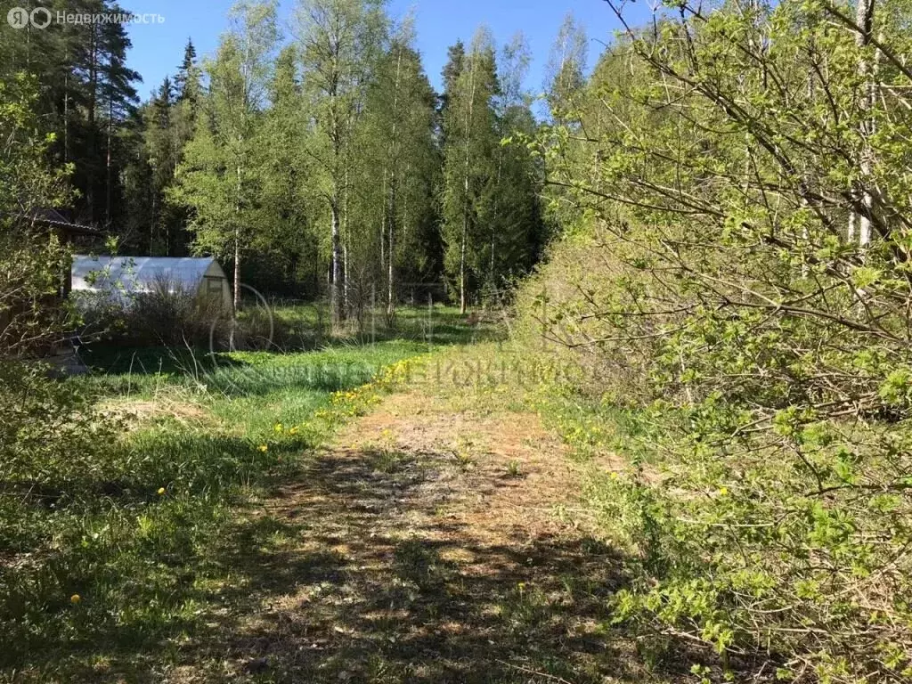 Участок в Выборгский район, Рощинское городское поселение, посёлок при ... - Фото 0