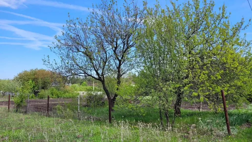 Участок в Белгородская область, Яковлевский муниципальный округ, ... - Фото 1