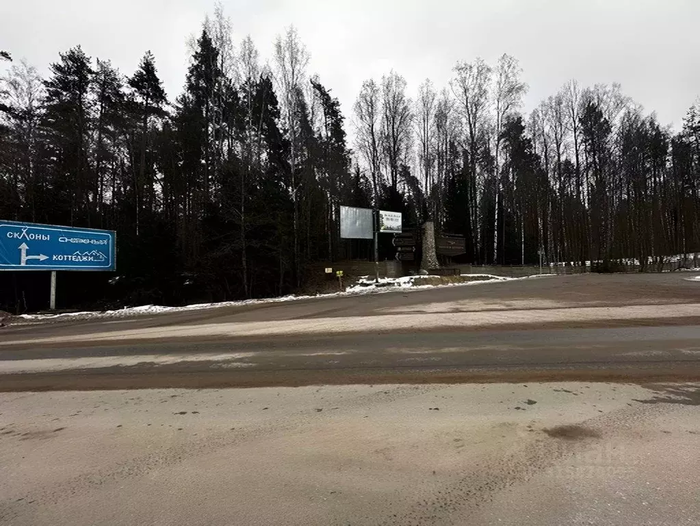 Участок в Ленинградская область, Приозерский район, Красноозерное ... - Фото 0