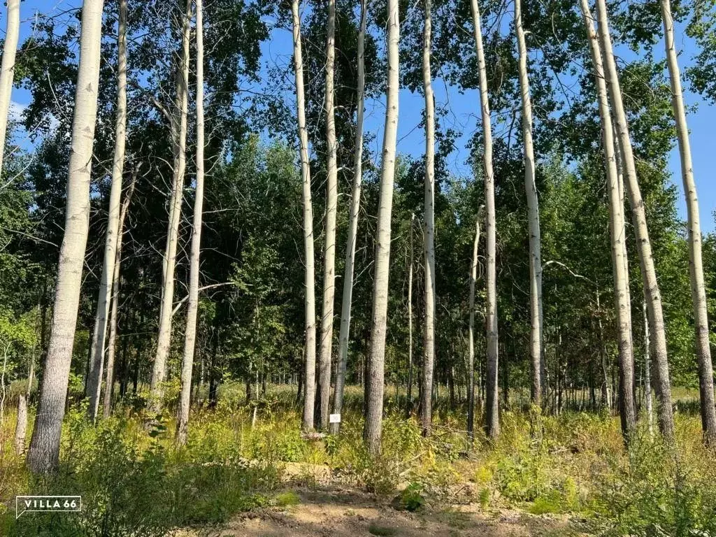 Участок в Свердловская область, Сысертский городской округ, пос. ... - Фото 0