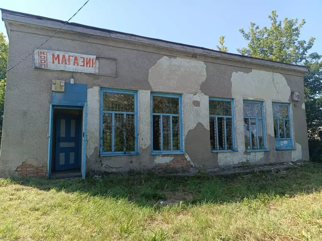 Помещение свободного назначения в Воронежская область, Новоусманский ... - Фото 1