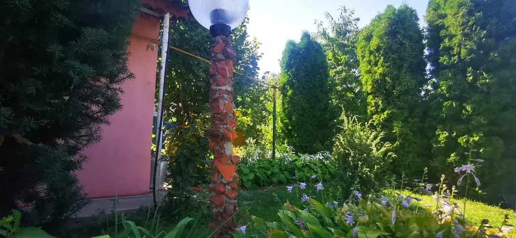 Дом в Волгоградская область, Волжский Труд ДНТ, ул. Сургучевка (85 м) - Фото 2