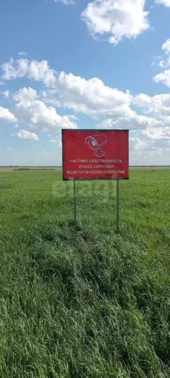Участок в Новосибирская область, Кочковский район, с. Жуланка ул. ... - Фото 0