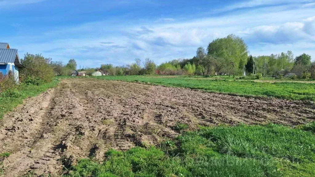 Участок в Нижегородская область, Городецкий муниципальный округ, с. ... - Фото 2