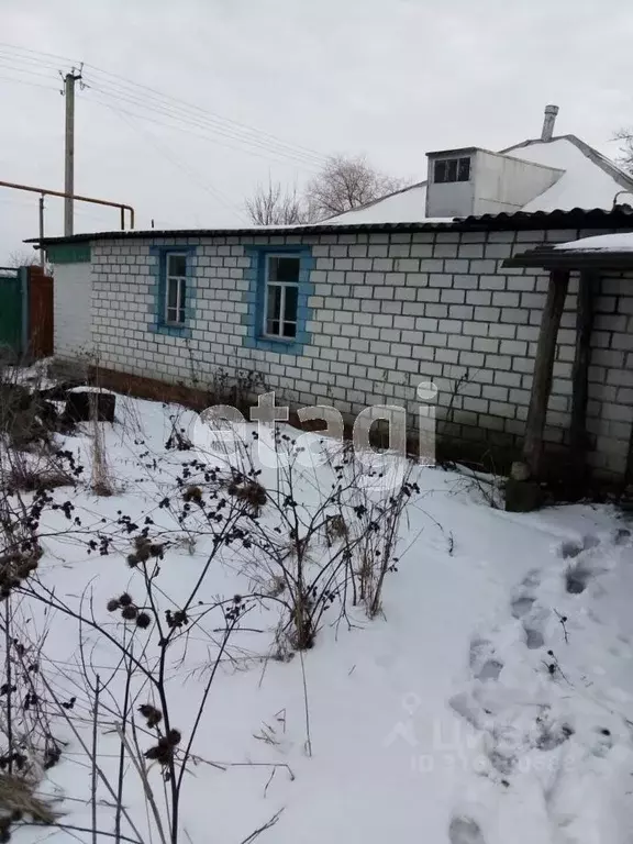 Дом в Белгородская область, Красногвардейский район, Палатовское ... - Фото 1