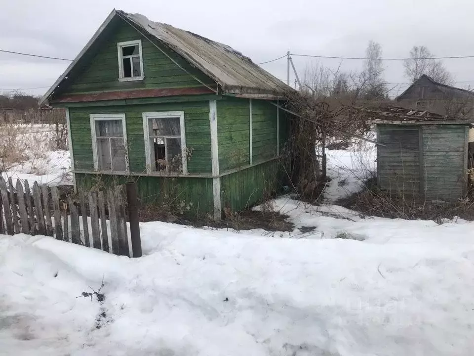 Панковка новгородская. Панковка Новгородская область.