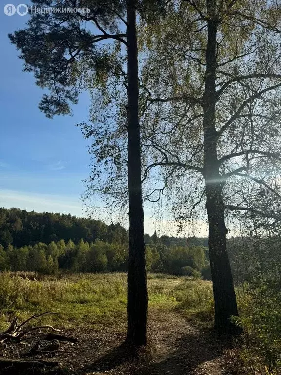 Участок в Москва, ТАО, Краснопахорский район, СНТСН Подолье, Речная ... - Фото 1