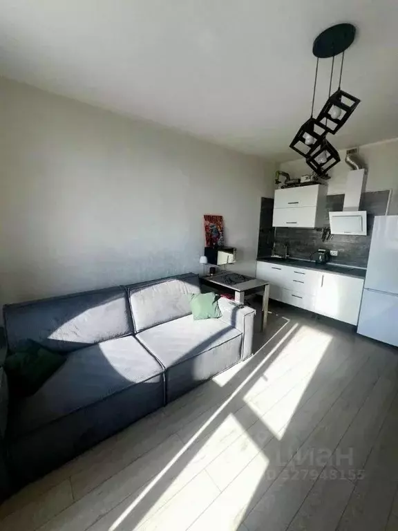 Студия Санкт-Петербург пос. Шушары, ул. Вишерская, 2 (25.4 м) - Фото 2