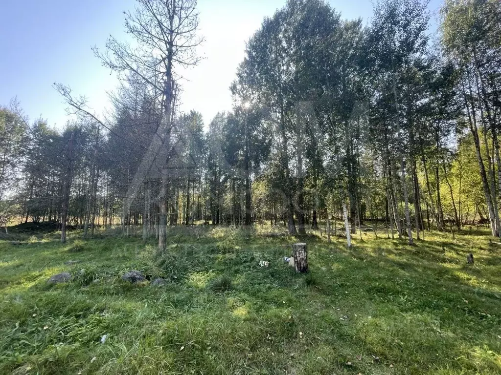 Участок в Ленинградская область, Приозерский район, Ларионовское ... - Фото 1