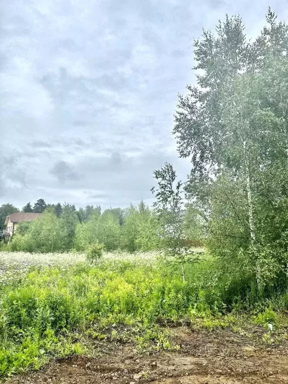 Участок в Московская область, Щелково городской округ, Лосиный Парк кп ... - Фото 1