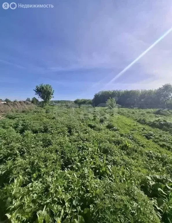 Участок в село Шульгин Лог, Школьная улица (11 м) - Фото 2