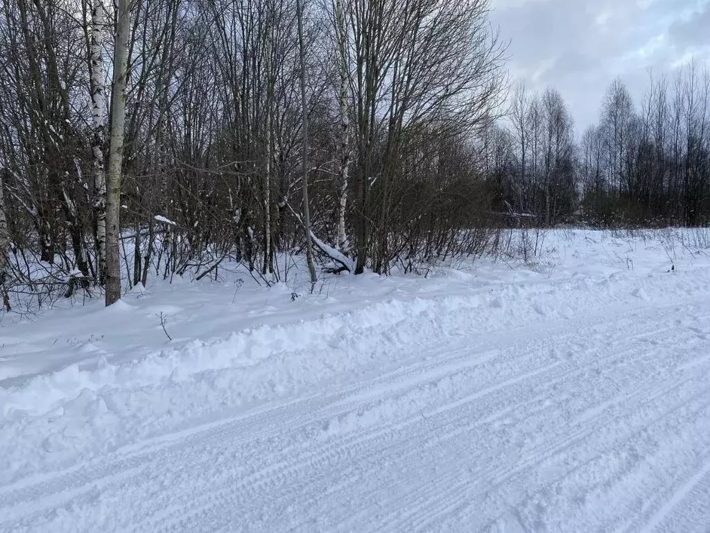 Участок в Московская область, Клин городской округ, с. Борщево  (7.59 ... - Фото 0