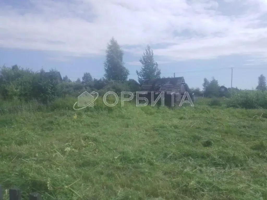 Участок в Тюменская область, Тюменский муниципальный округ, Нива СНТ ... - Фото 1