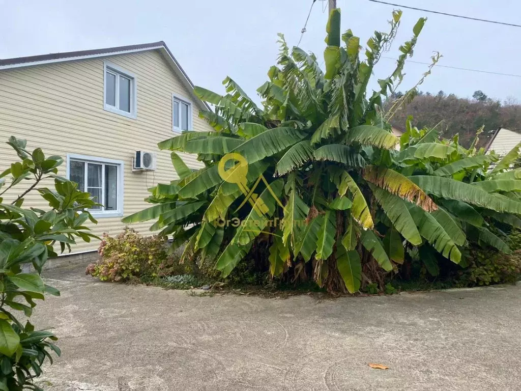 Коттедж в Краснодарский край, Туапсинский муниципальный округ, с. ... - Фото 2