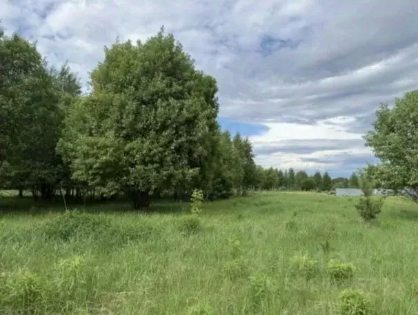 Участок в Московская область, Серпухов городской округ, д. Лукино  ... - Фото 1