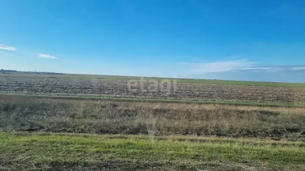 Участок в Крым, Сакский район, Молочненское с/пос, с. Витино ул. ... - Фото 0