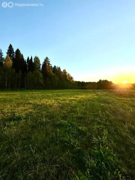 Участок в Кирово-Чепецкий район, село Кстинино (20 м) - Фото 1