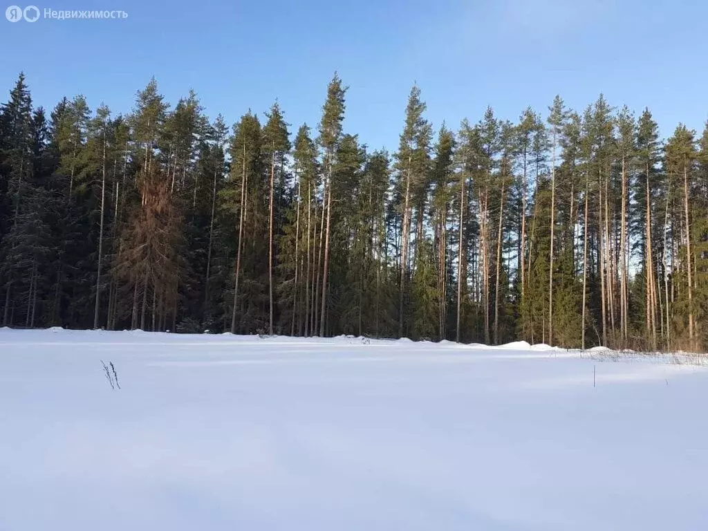 Участок в посёлок Красносельское, Солнечная улица (12 м) - Фото 0