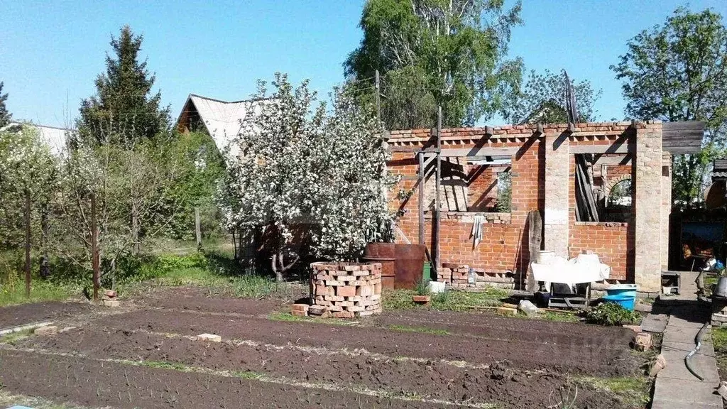 Купить Дачу В Омске Кировский Район Авангард