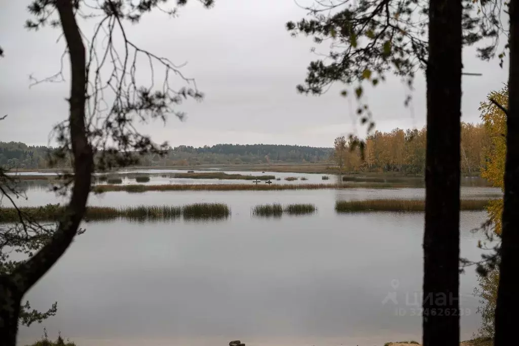 Комната Ивановская область, Заволжский район, Сосневское с/пос, с. ... - Фото 2