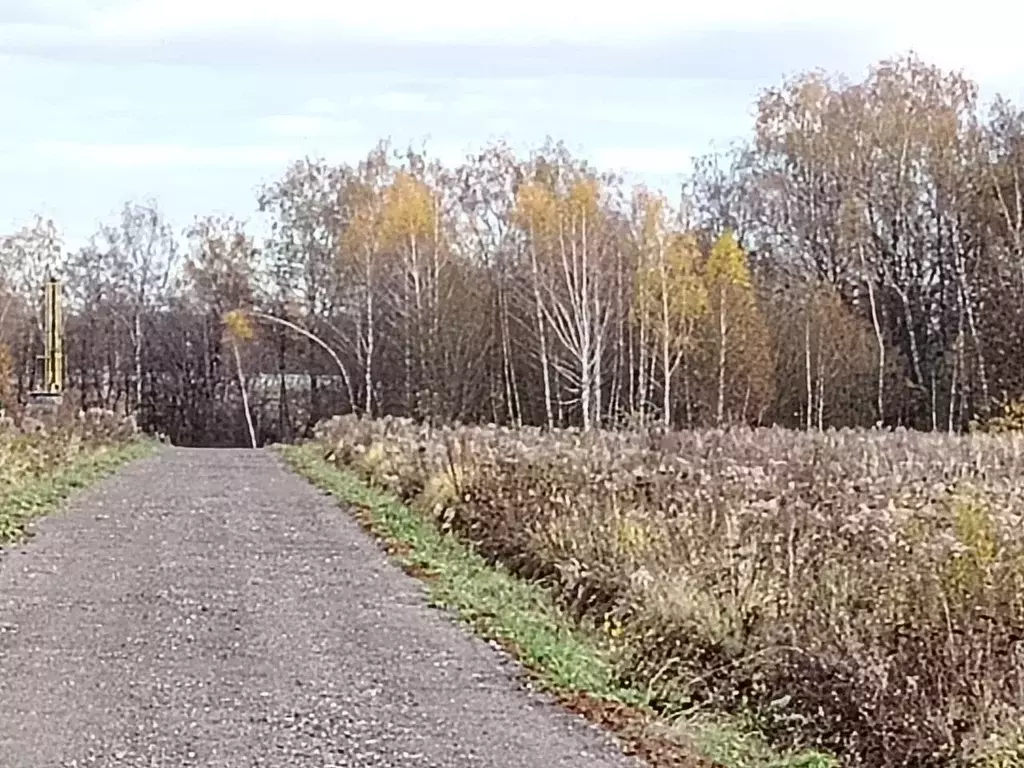 Участок в Московская область, Серпухов городской округ, Новые Велеми ... - Фото 0