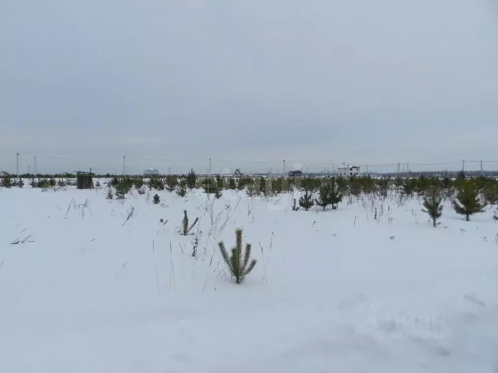 Участок в Курганская область, Курган с. Зайково,  (15.25 сот.) - Фото 1