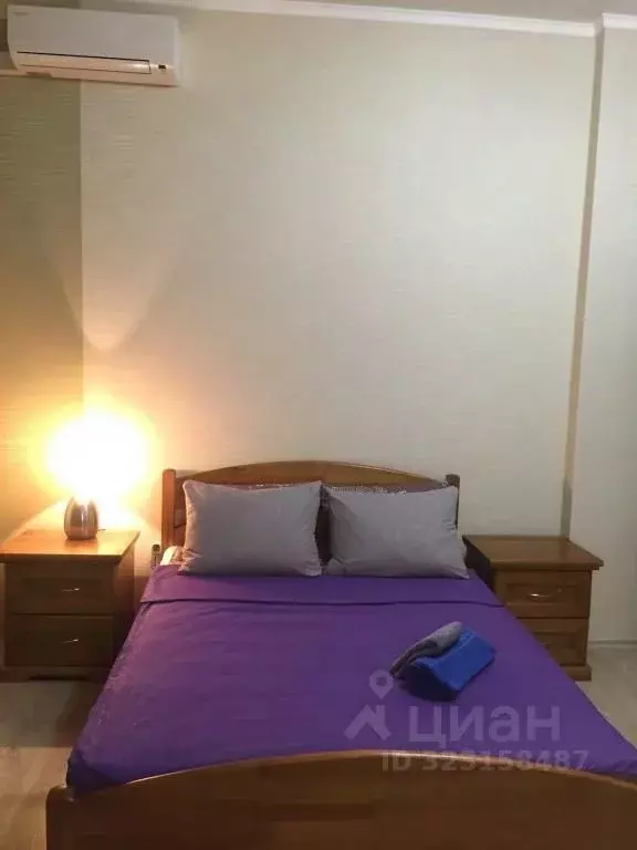 1-к кв. Воронежская область, Воронеж ул. Революции 1905 года, 31а ... - Фото 1