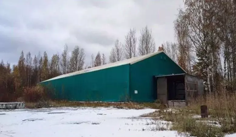 Склад в Санкт-Петербург пос. Парголово, Вокзальное ш., 55к2 (2500 м) - Фото 2